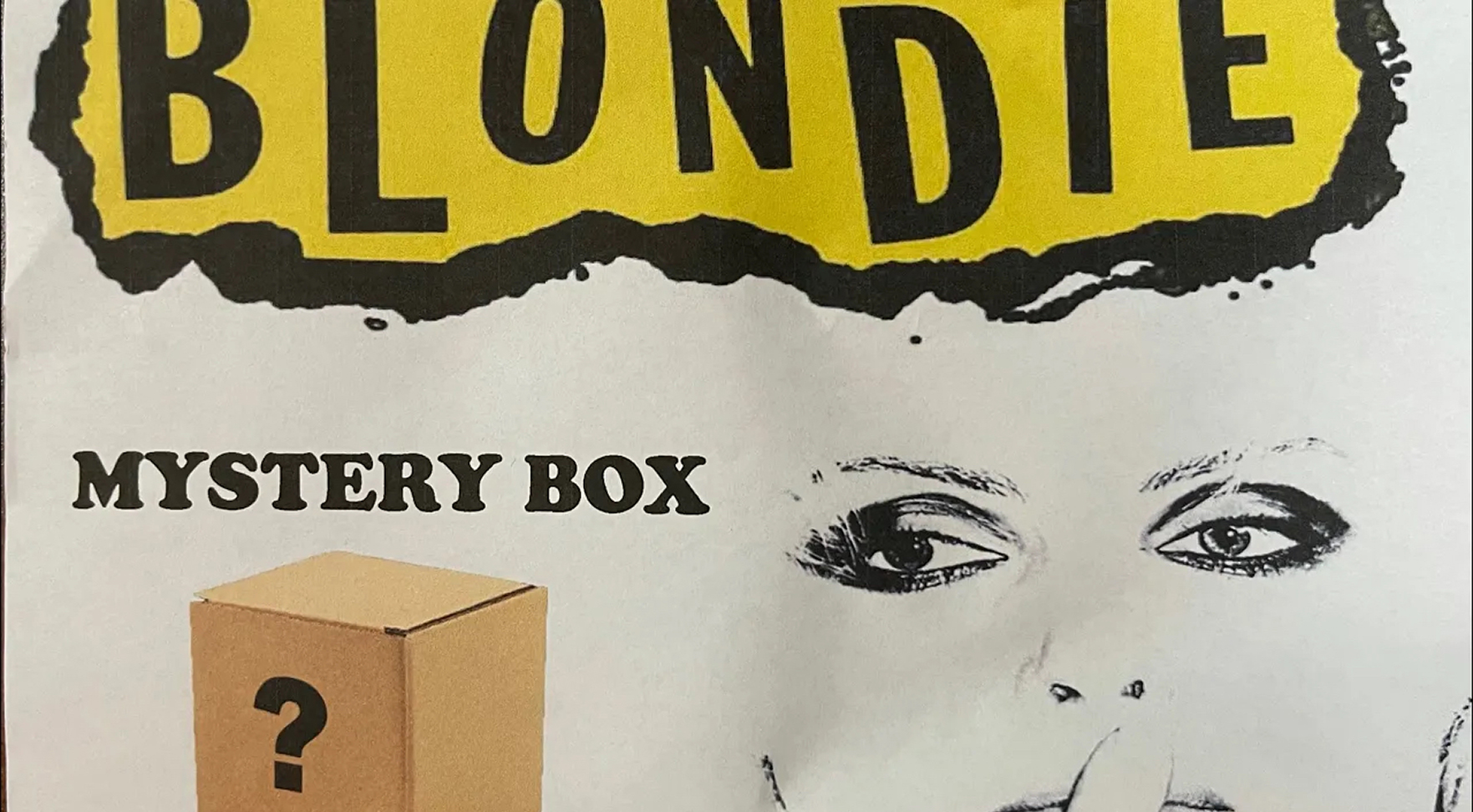 BLONDIE The Band Merch Mystery Box Opening DEBBIE HARRY The Best Of